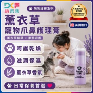 英國Buddycare 萌狗爪鼻護理膏（薰衣草）